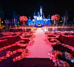 Disney Proposal Ideas That Make Dreams Come True - weeding, proposal, disney