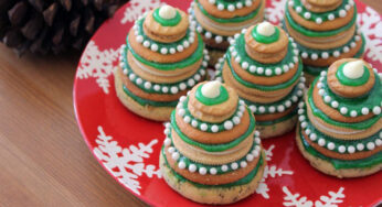 17 Creative and Tasty Christmas Cookie Recipes and Ideas