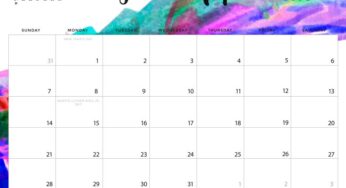 16 DIY Organization Projects: 2018 Free Printable Calendars (Part 1)