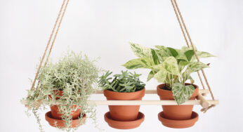 Spring Projects: 15 Easy DIY Hanging Planters