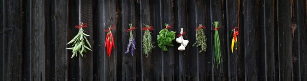 How to Plan an Herb Garden - plan, outdoors, herbs, color, basil, backyars plant, backyard boss