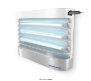 How to Get Rid of Flies Indoors?