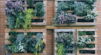 12 Genius DIY Vertical Gardening Ideas For Small Spaces