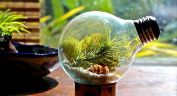 17 Creative DIY Terrarium Ideas