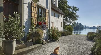 Structural Problems to Look out for in Old Homes