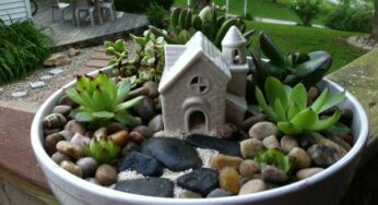 15 Easy DIY Backyard Succulent Garden Ideas