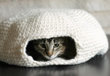 14 Knit and Crochet Projects for Your Cat - knitting, Knit and Crochet Projects for Your Cat, knit, crochet, cat scratching furniture, cat