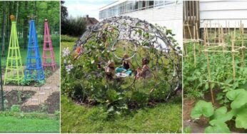 14 Great DIY Garden Plant Supports and Ideas