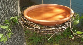15  DIY Bird Bath Ideas To Attract Birds To Yard