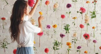 Creative and Easy Diy Backdrops You Can Make