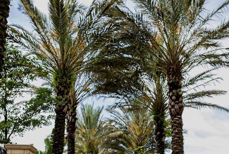 16 Cute Summer Outfits for 2018 - What to Wear This Summer 16 Cute Summer Outfits for 2018 - What to Wear This Summer - summer outfit ideas, summer outfit idea, summer fashion trends, summer fashion