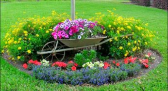 15 DIY Wheelbarrow Repurposing Ideas