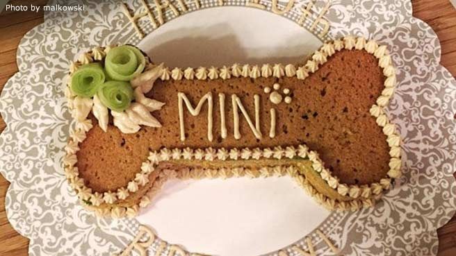 15 Homemade Healthy Dog Food Recipes 15 Homemade Healthy Dog Food Recipes - Healthy Dog Food Recipes, dogs, Dog Food Recipes, Dog Food