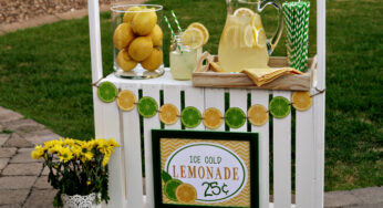 15 Amazing DIY Lemonade Stands