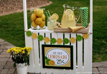 15 Amazing DIY Lemonade Stands - Lemonade Stands, Lemonade Stand, DIY Lemonade Stands, DIY Lemonade, diy kids crafts