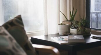 5 Easy Ways to Detoxify Your Home Interior