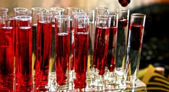 18 Halloween Cocktails and Alcoholic Drink Recipes