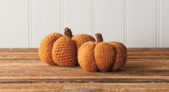 Free Pumpkin Patterns for Knitting