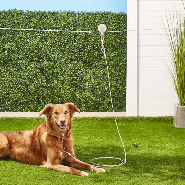 6 Ideas For Creating A Backyard Your Dog Will Dig - dog, backyard, aeral cable run