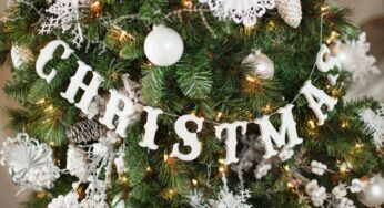 20 DIY Christmas Garland Decorating Ideas