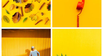 A Color-Based Approach to Selecting Images for Your Project