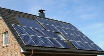 How to Make Your Home More Sustainable