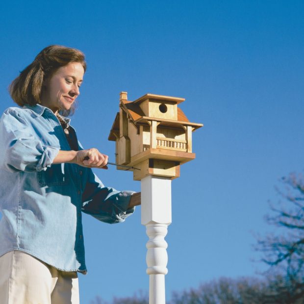 source: https://www.familyhandyman.com/woodworking/projects/build-a-backyard-birdhouse/view-all/