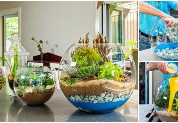 14  DIY Terrarium Ideas You Can Make Today - how to make terrarium, DIY Terrarium Ideas, DIY Terrarium Idea, diy terrarium