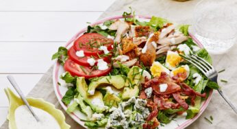15 Keto Lunch Salad Recipes that are Easy and Healthy