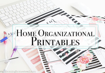 15 Free Printables to Organize Everything - Printables to Organize Everything, printables, free printables, DIY Organization Ideas, diy organization hacks