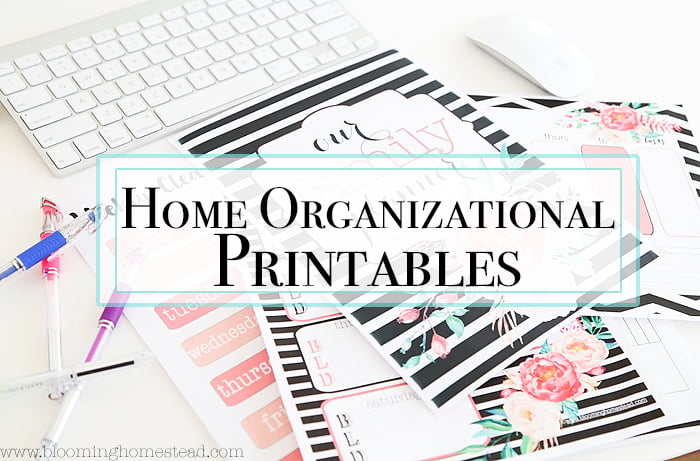 15 Free Printables to Organize Everything - Printables to Organize Everything, printables, free printables, DIY Organization Ideas, diy organization hacks