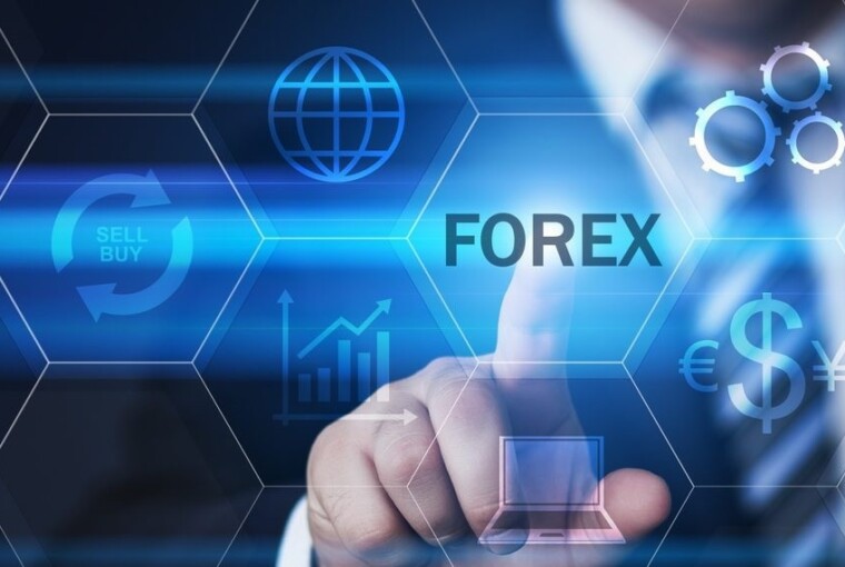 The Fundamentals You Need to Know about Forex Brokers The Fundamentals You Need to Know about Forex Brokers - traders, service, recommendations, forex, final, dealer, client, broker