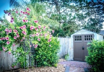 What To Consider Before Buying Your New Backyard Shed - yard, windows, Storage, size, shed, outdoors, organized, material, garden, garage, doors