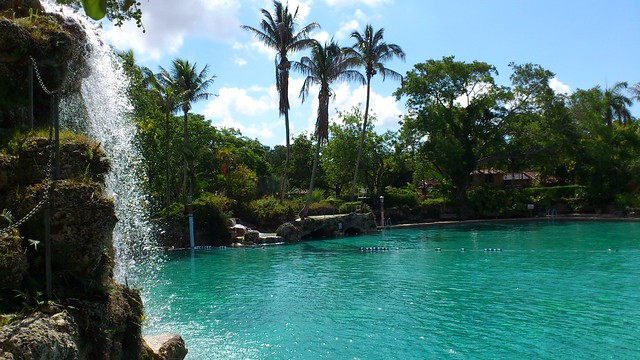 Road Trip to Florida: 5 Spots to Enjoy the Wildlife Road Trip to Florida: 5 Spots to Enjoy the Wildlife - Wildlife, venetian pool, tropical, road trip, national park, lion country safari, garden, florida, fairchild, dry tortugas, botanic