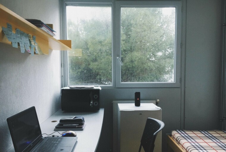 8 Great Decorating Ideas for Your Dorm 8 Great Decorating Ideas for Your Dorm - student, house plants, dorm, decoration, colorful carpet