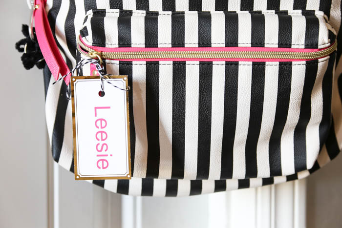 15 DIY Backpacks for Back-to-School 15 DIY Backpacks for Back-to-School - DIY Backpacks for School, DIY Backpacks for Back-to-School, DIY Backpacks