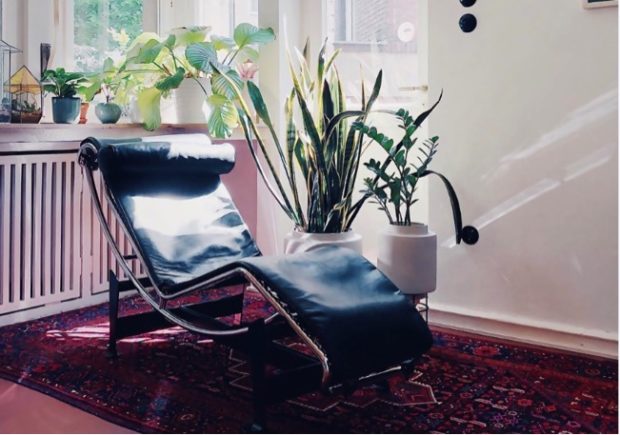 7 Ways to Enhance The Presence of Your Corbusier Chaise Lounge - Vintage contrast, Lush planters, Furry throws, floor lamp, Chaise Lounge, area rug