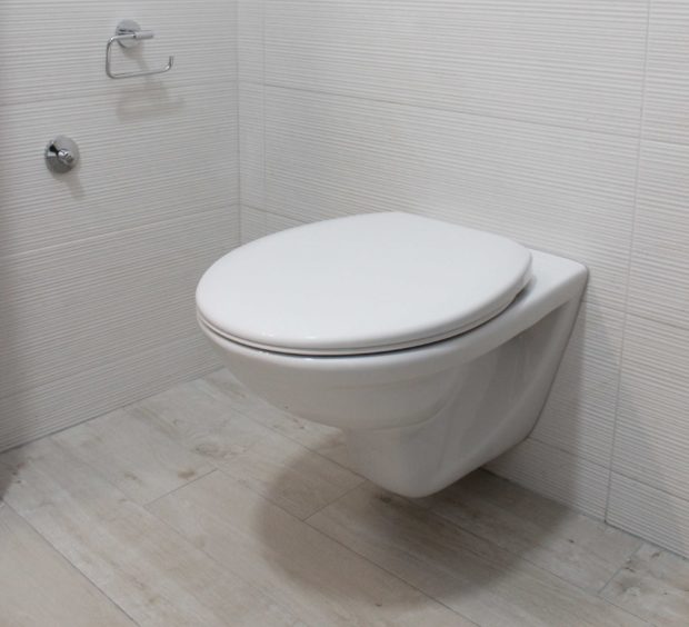 Why Comfort Height Toilets are Best for Elderly People - toilet, standard, platform, height, elderly people, comfort