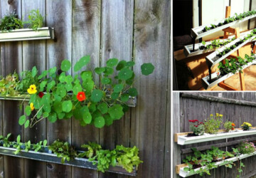 How to Make a Rain Gutter Garden - soil, rain gutter garden, outdoors, gardening, garden