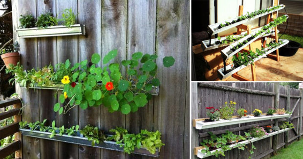 How to Make a Rain Gutter Garden - soil, rain gutter garden, outdoors, gardening, garden
