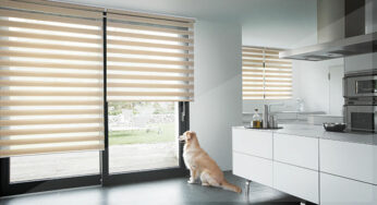 How To Protect Your Windows From Sunlight Heat