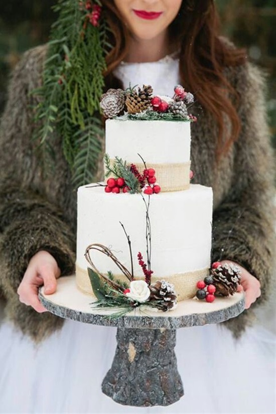 15 Gorgeous Winter Wedding Cakes - Winter Wedding Cakes, Winter Wedding cake, winter wedding, Romantic Winter Weddings, DIY Winter Wedding Decorations