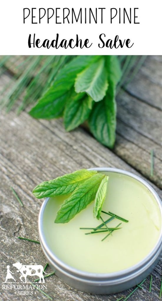 15 Homemade Wound Healing Salve Recipes - Homemade Wound Healing Salve Recipes, Homemade Healing Salve Recipes, homemade cosmetics, Healing Salve Recipes, diy cosmetics, diy beauty products