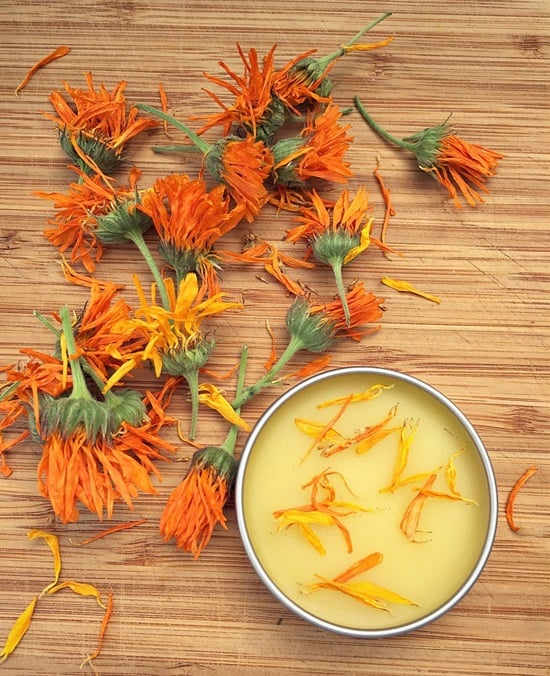 15 Homemade Wound Healing Salve Recipes - Homemade Wound Healing Salve Recipes, Homemade Healing Salve Recipes, homemade cosmetics, Healing Salve Recipes, diy cosmetics, diy beauty products