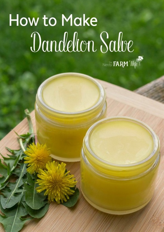 15 Homemade Wound Healing Salve Recipes - Homemade Wound Healing Salve Recipes, Homemade Healing Salve Recipes, homemade cosmetics, Healing Salve Recipes, diy cosmetics, diy beauty products