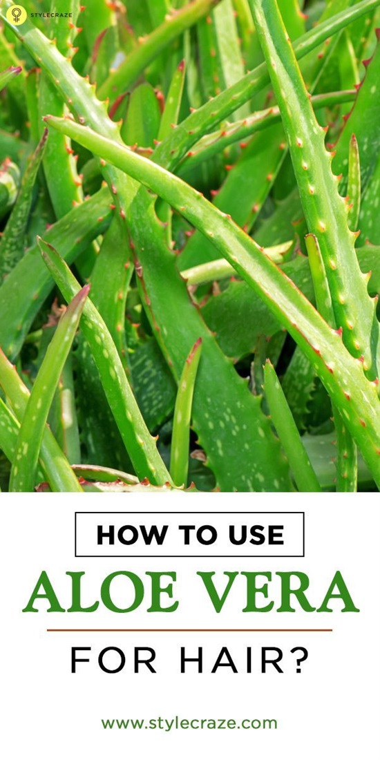 15 Ways to Use Aloe Vera as a Beauty Product - Use Aloe Vera as a Beauty Product, homemade beauty products, diy beauty products, Beauty Product, aloe vera