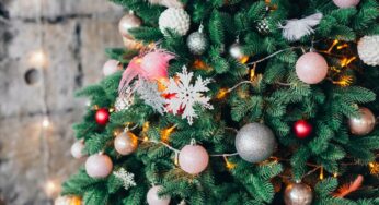 20 Stunning Christmas Tree Ideas 2019 (Part 1)