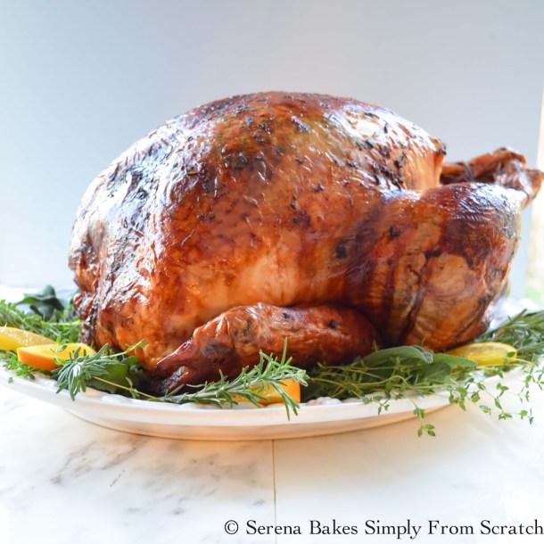 15 Best Thanksgiving Roast Turkey Recipes - Traditional Thanksgiving Recipes, Thanksgiving Turkey Recipes, Thanksgiving Turkey, Thanksgiving Roast Turkey Recipes, Thanksgiving recipes