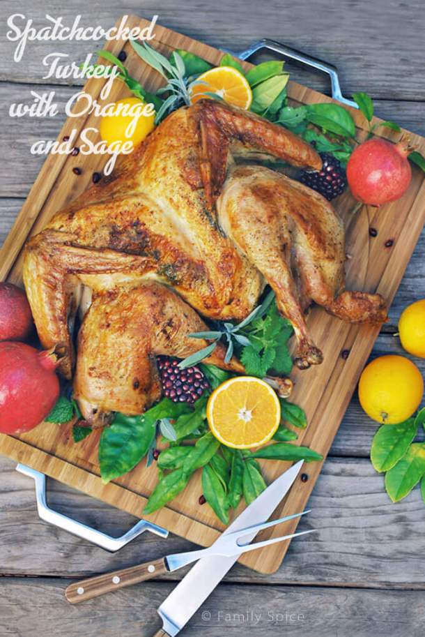 15 Best Thanksgiving Roast Turkey Recipes - Traditional Thanksgiving Recipes, Thanksgiving Turkey Recipes, Thanksgiving Turkey, Thanksgiving Roast Turkey Recipes, Thanksgiving recipes