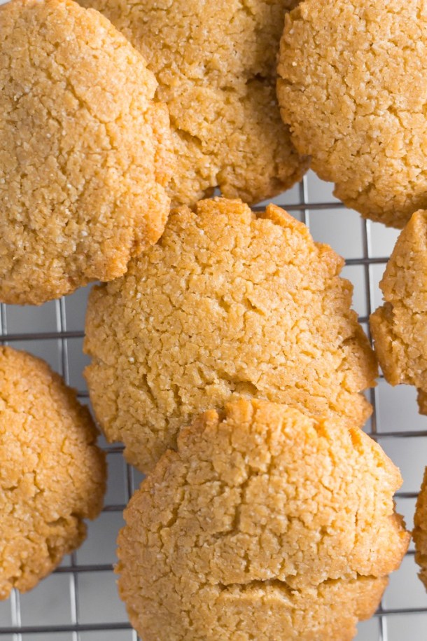 15 Keto Christmas Cookies Recipes for the Holiday Season (Part 1)